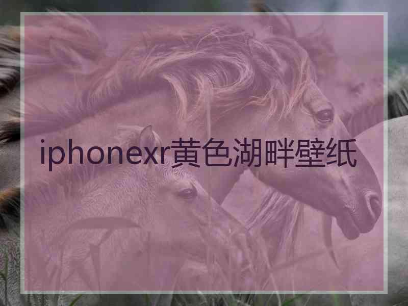 iphonexr黄色湖畔壁纸