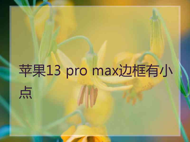 苹果13 pro max边框有小点