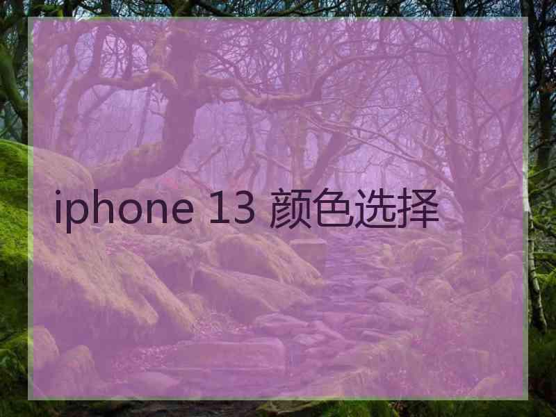 iphone 13 颜色选择