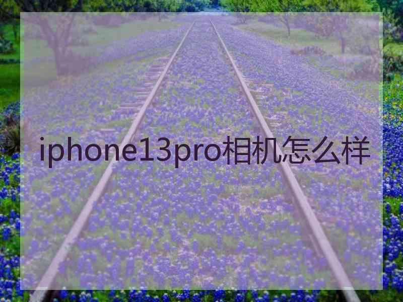 iphone13pro相机怎么样