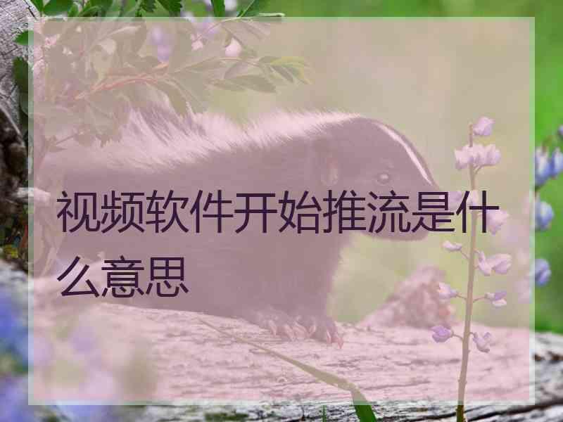 视频软件开始推流是什么意思