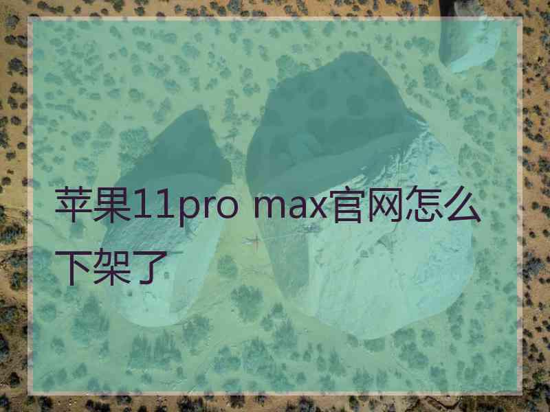 苹果11pro max官网怎么下架了