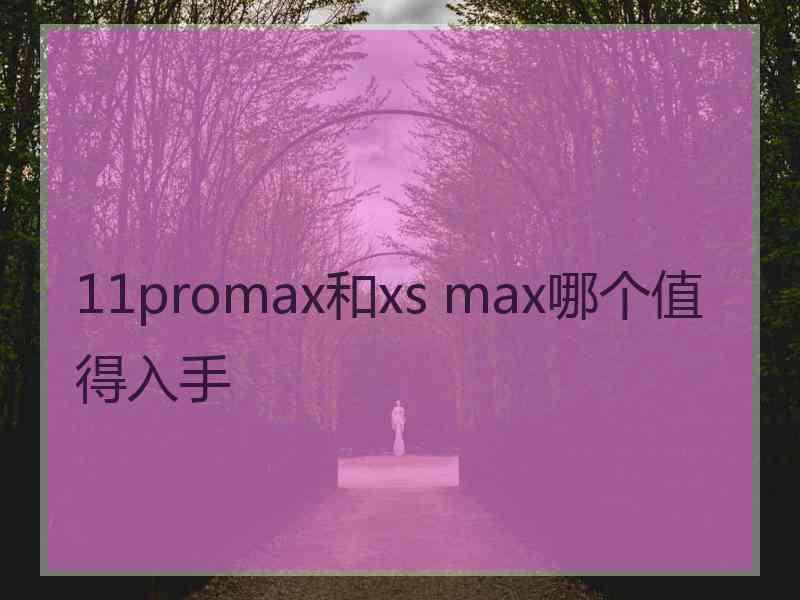 11promax和xs max哪个值得入手