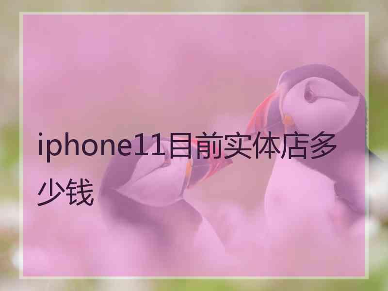 iphone11目前实体店多少钱