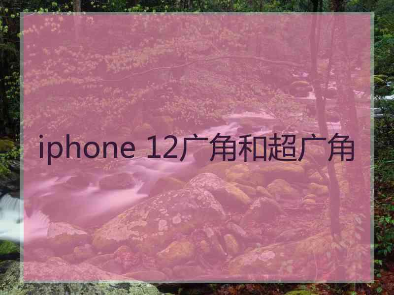 iphone 12广角和超广角