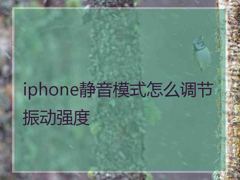 iphone静音模式怎么调节振动强度