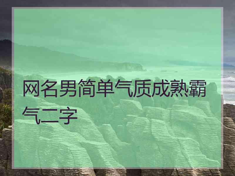 网名男简单气质成熟霸气二字