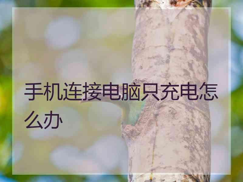 手机连接电脑只充电怎么办