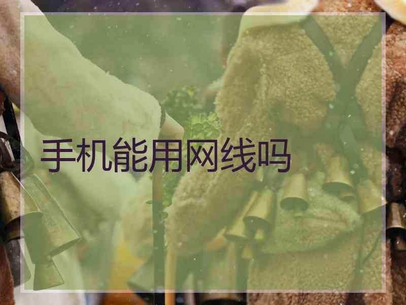 手机能用网线吗