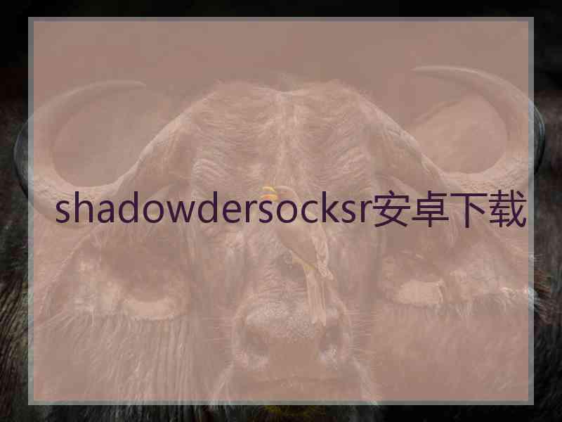 shadowdersocksr安卓下载