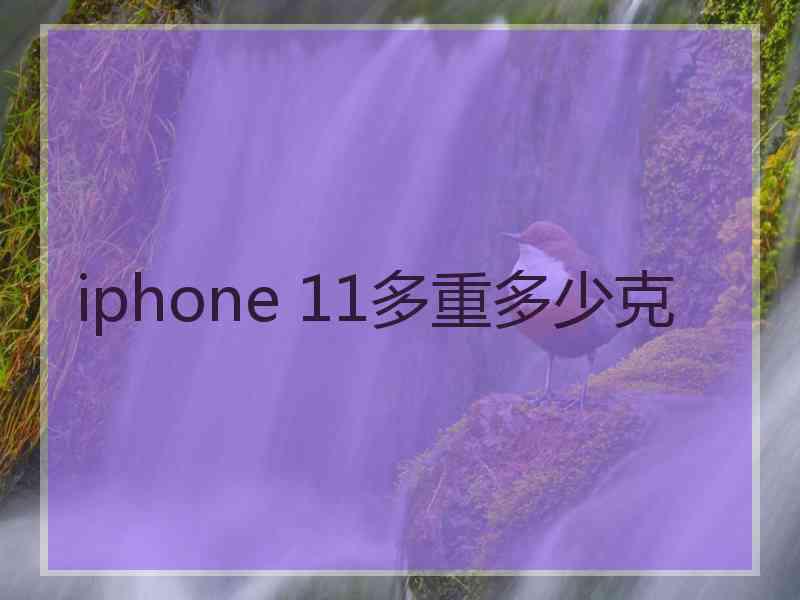 iphone 11多重多少克