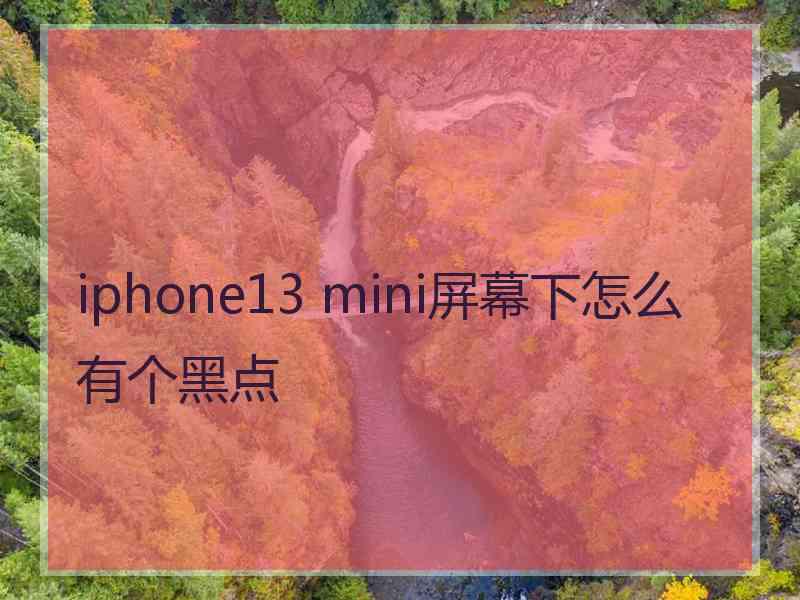 iphone13 mini屏幕下怎么有个黑点