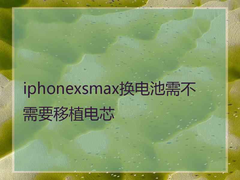 iphonexsmax换电池需不需要移植电芯