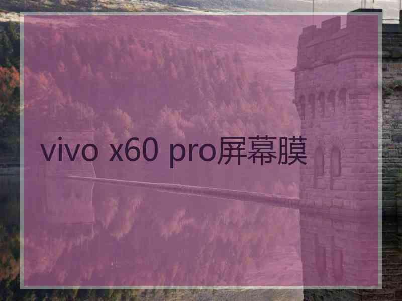 vivo x60 pro屏幕膜