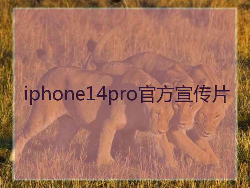 iphone14pro官方宣传片