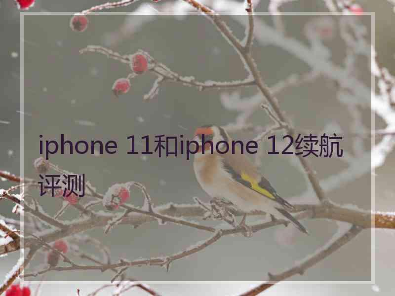 iphone 11和iphone 12续航评测