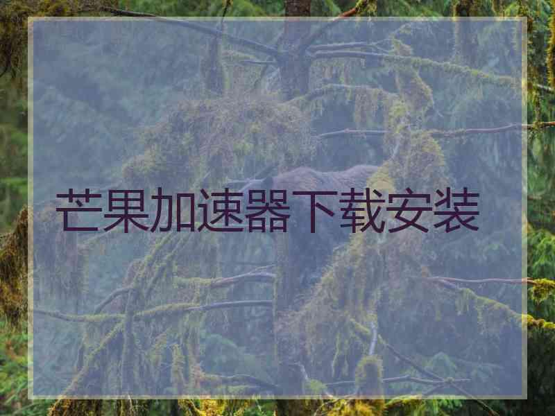 芒果加速器下载安装