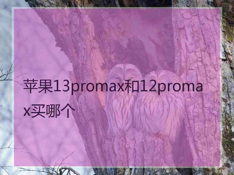 苹果13promax和12promax买哪个