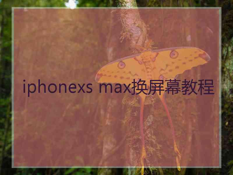 iphonexs max换屏幕教程