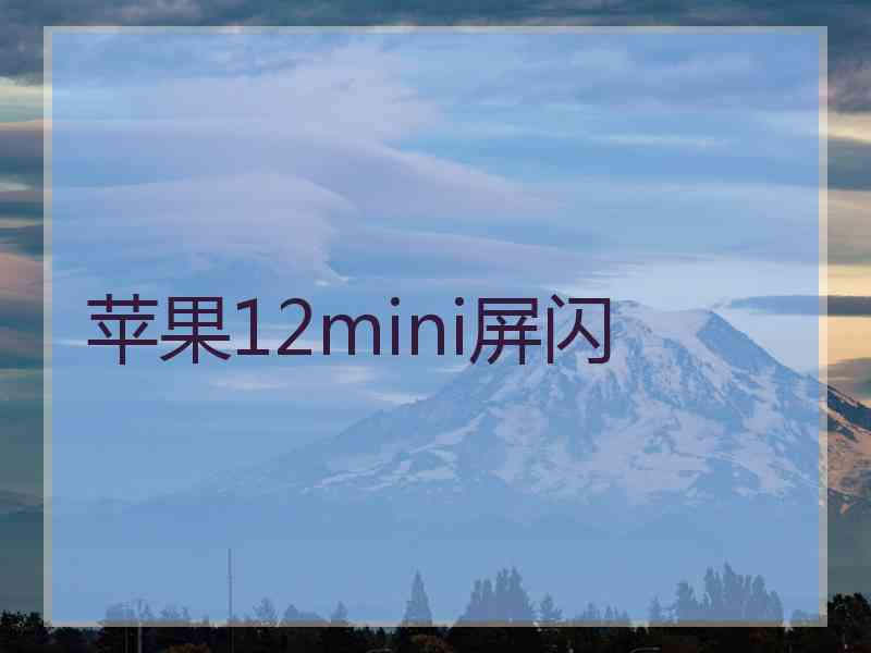 苹果12mini屏闪