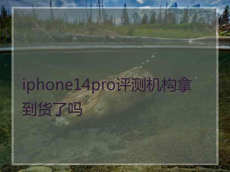 iphone14pro评测机构拿到货了吗