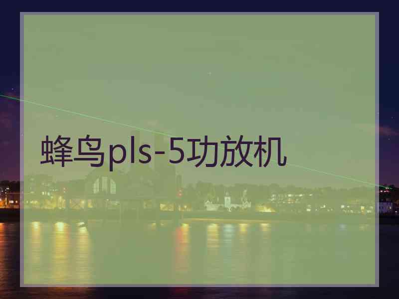 蜂鸟pls-5功放机