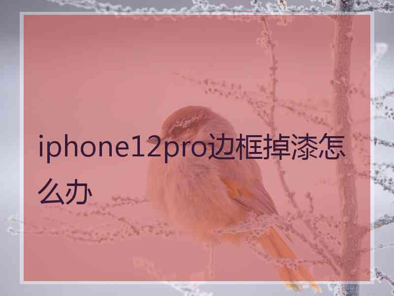 iphone12pro边框掉漆怎么办