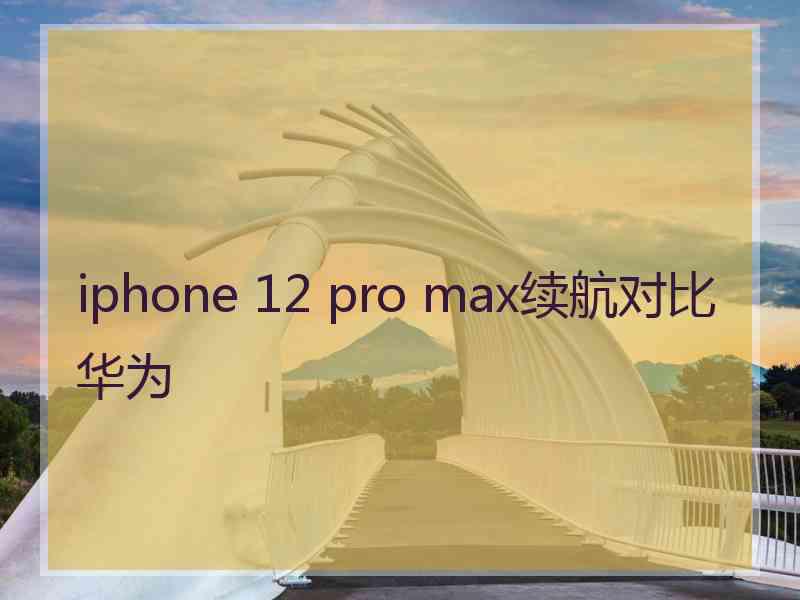 iphone 12 pro max续航对比华为