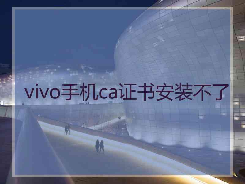 vivo手机ca证书安装不了