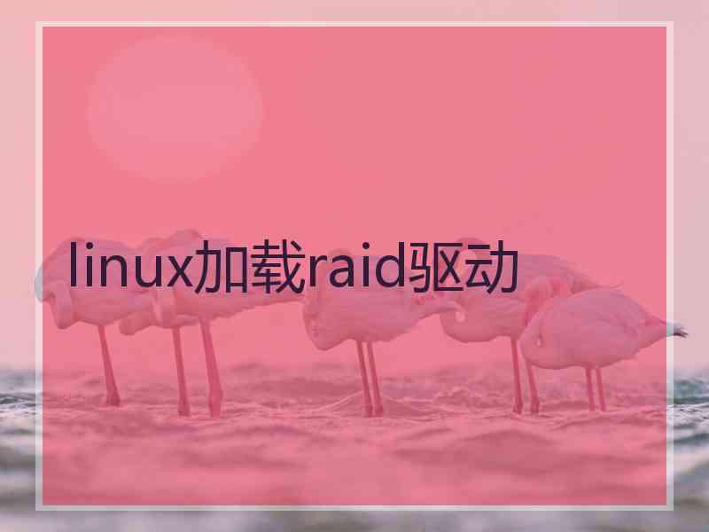 linux加载raid驱动