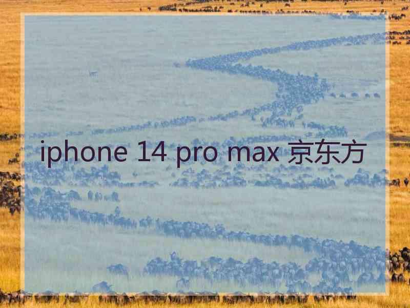 iphone 14 pro max 京东方