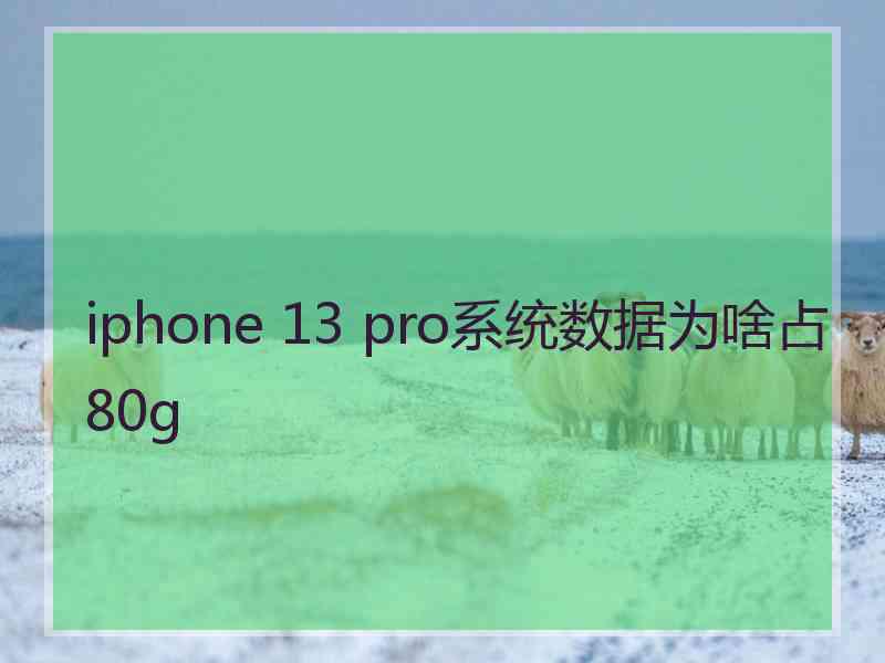 iphone 13 pro系统数据为啥占80g