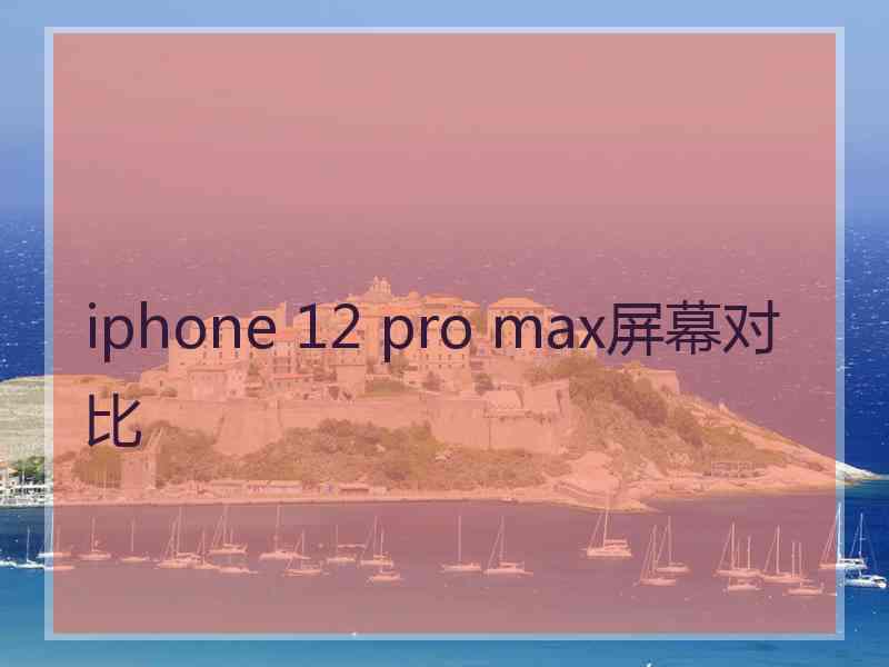 iphone 12 pro max屏幕对比