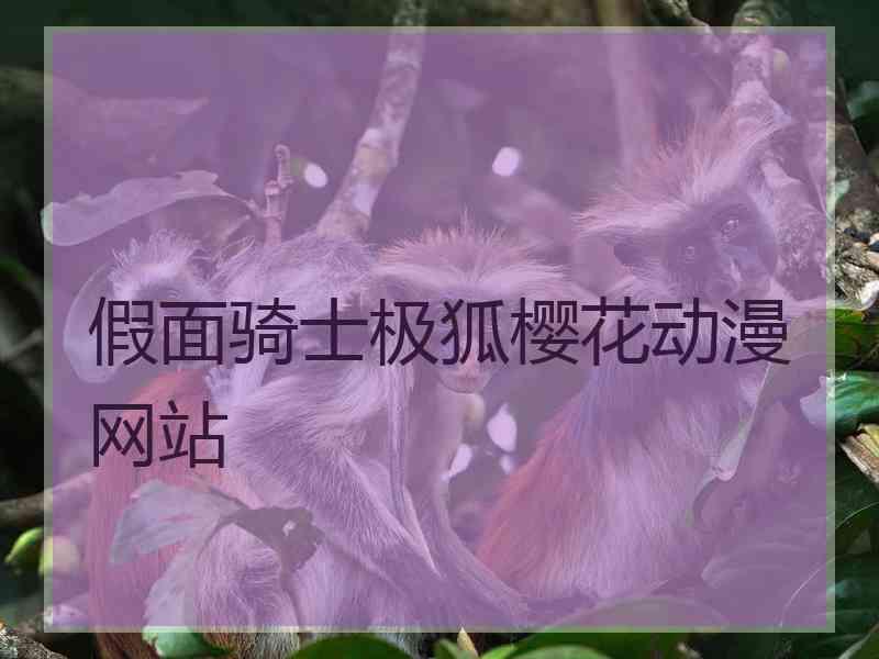 假面骑士极狐樱花动漫网站