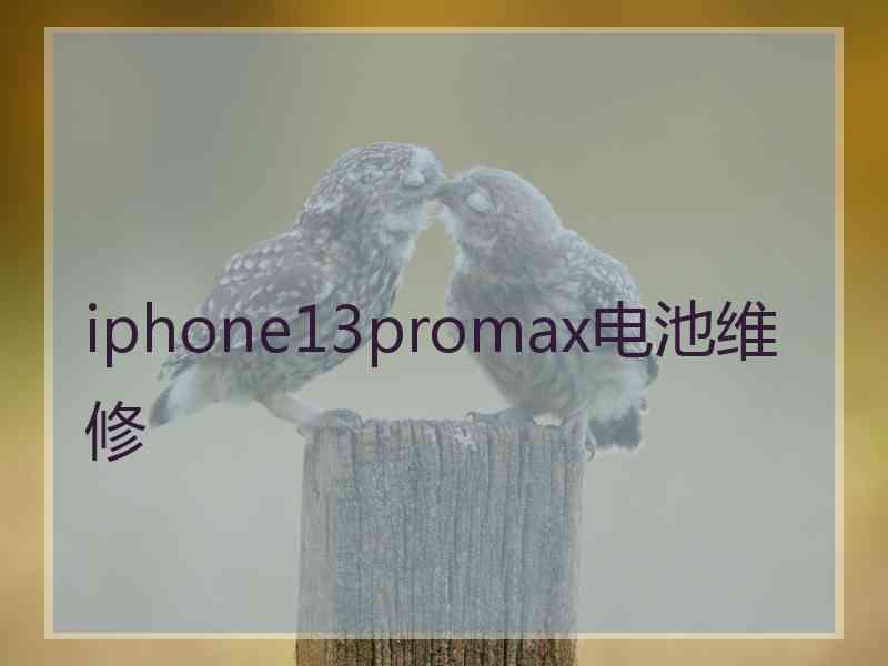 iphone13promax电池维修