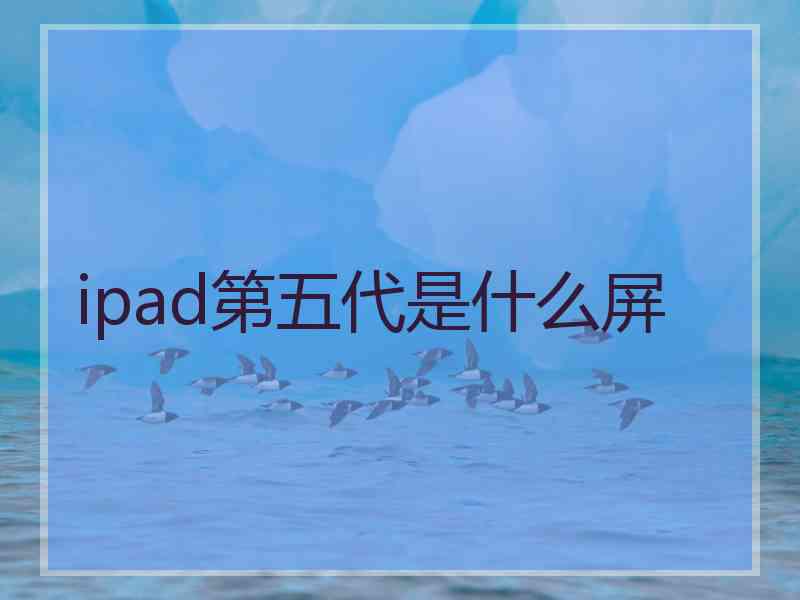 ipad第五代是什么屏