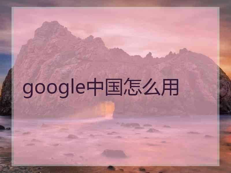 google中国怎么用