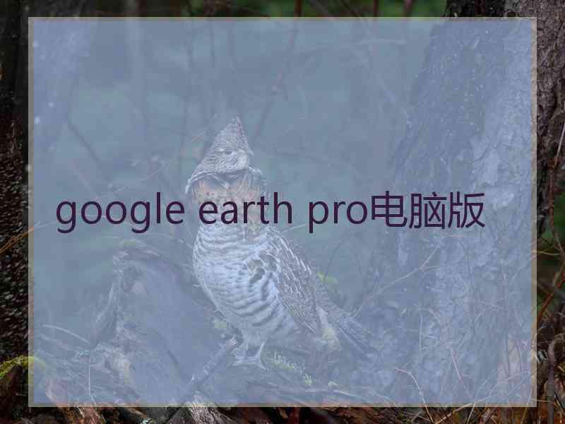 google earth pro电脑版