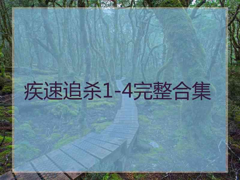 疾速追杀1-4完整合集