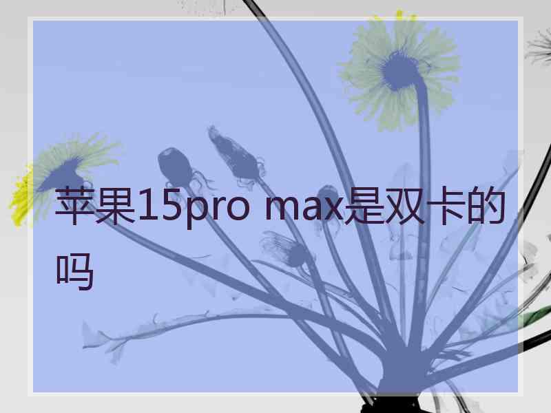 苹果15pro max是双卡的吗