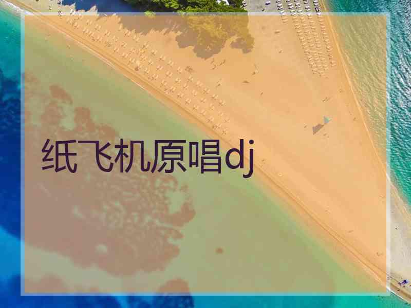 纸飞机原唱dj