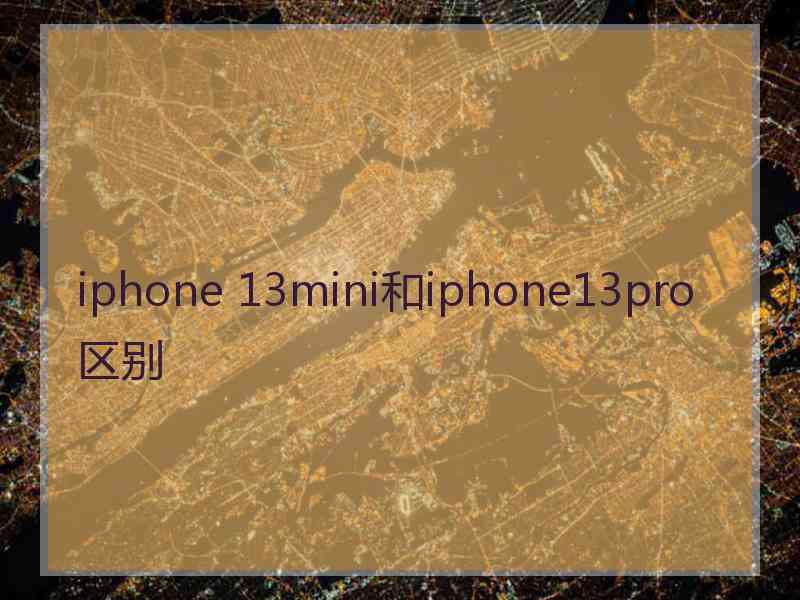 iphone 13mini和iphone13pro区别