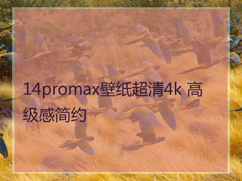 14promax壁纸超清4k 高级感简约