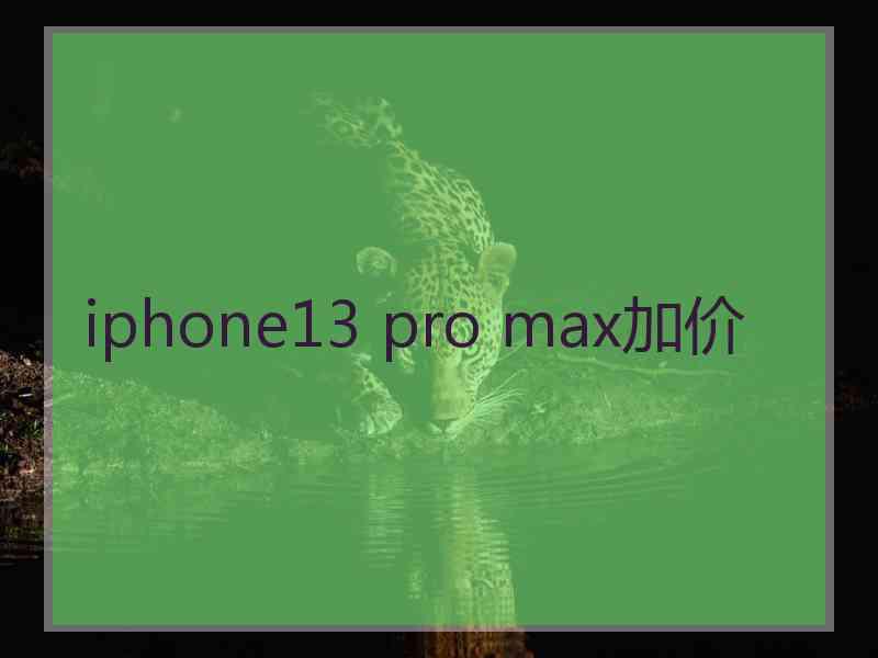 iphone13 pro max加价