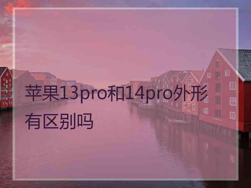 苹果13pro和14pro外形有区别吗