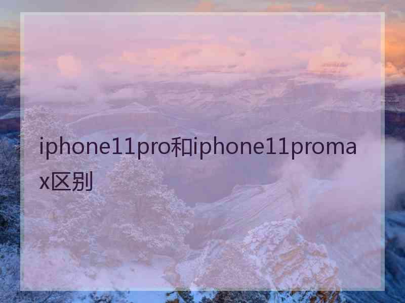 iphone11pro和iphone11promax区别