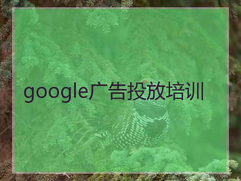 google广告投放培训