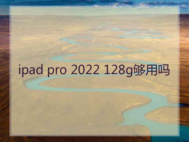 ipad pro 2022 128g够用吗