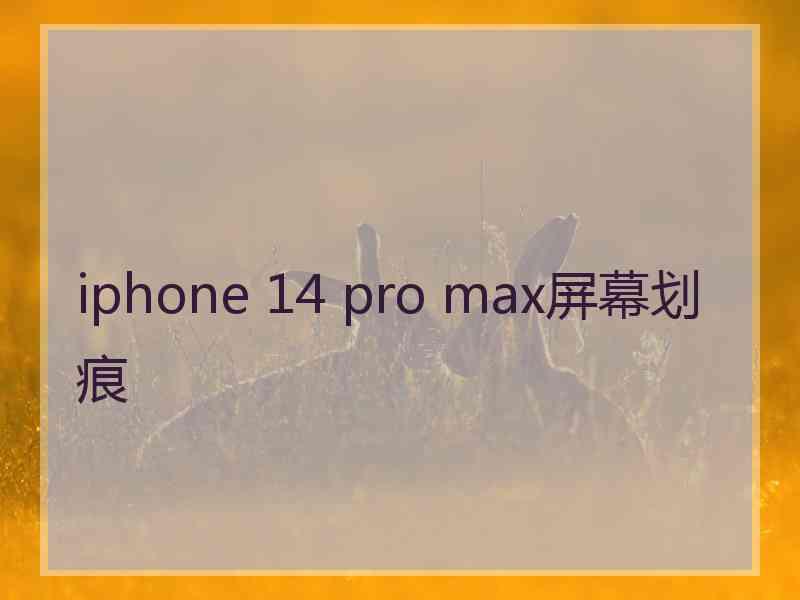 iphone 14 pro max屏幕划痕