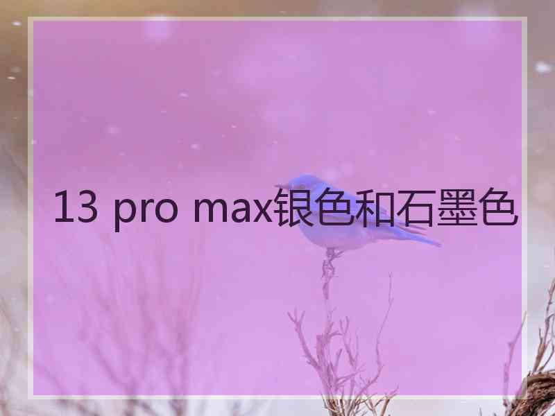 13 pro max银色和石墨色